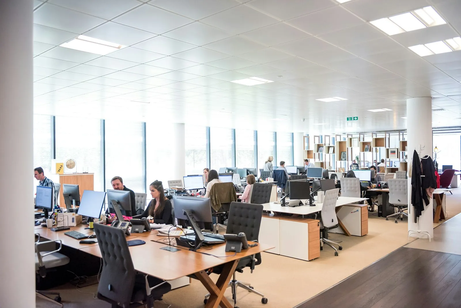 A modern open-plan office with teams working across rows of desks